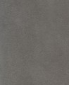 141-Grey