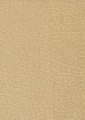 145-Lt.Beige