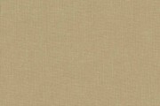 208 25 cream