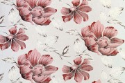 402-5 Coral