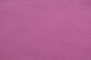 704-04 Fuxia
