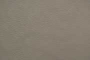 704-07 Taupe