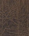 721-B06