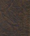 721-B07