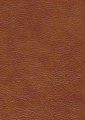 727-Light Brown