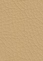 728-Beige