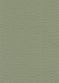 728-Olive